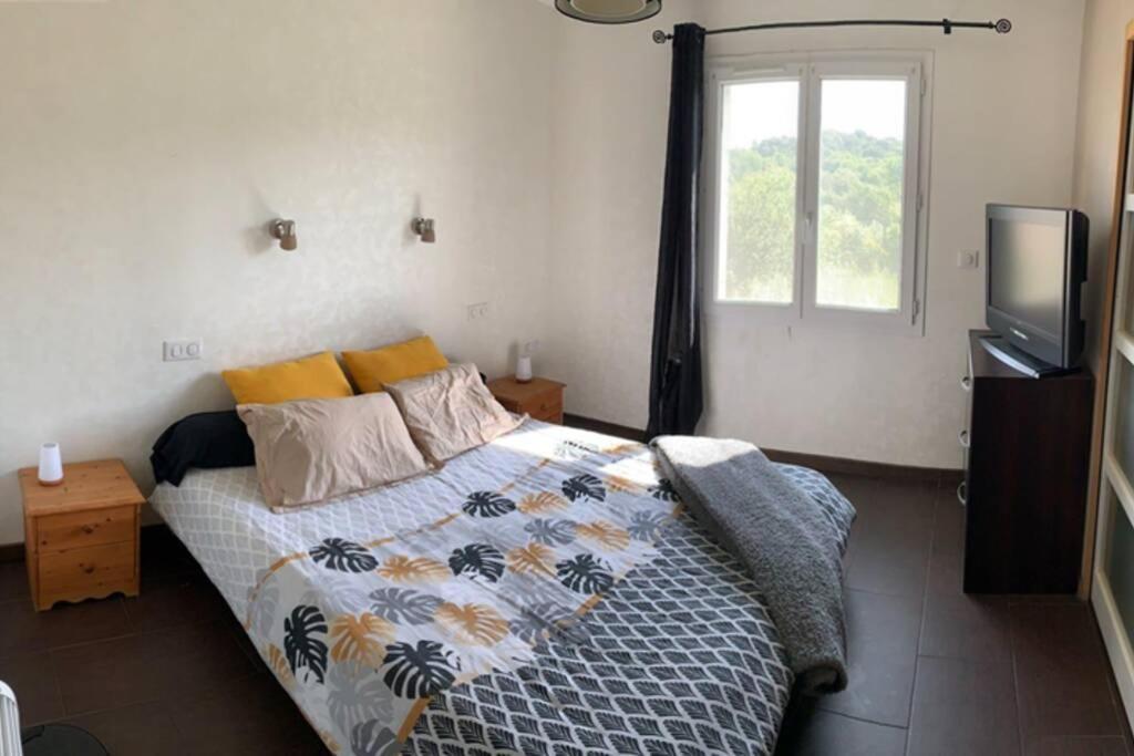 Maison Spacieuse Et Calme Pres De La Cite Villa Alairac Екстериор снимка