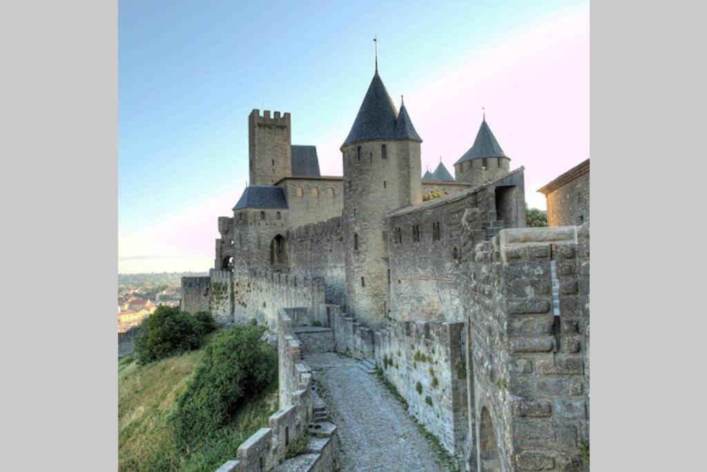 Maison Spacieuse Et Calme Pres De La Cite Villa Alairac Екстериор снимка